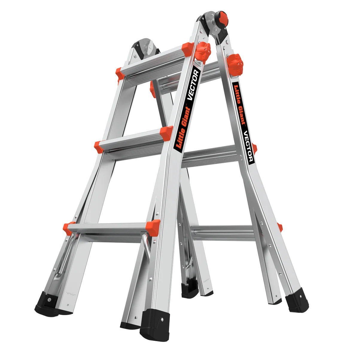 Vector - Image 18